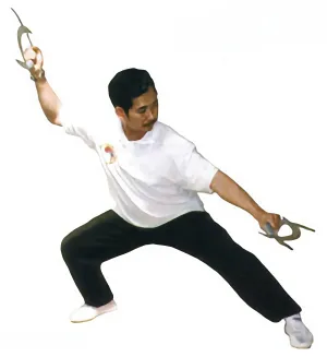 kung fu weapons training